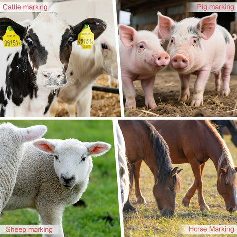 Electric Livestock Ear Tagger With Dual Batteries And Six Tag Needles, Quick One Button Tagging Tool For Cattle Pigs And Sheep, Pain Free And Fast With Easy Peasy Tagging, Keeps Animals Calm, Red Standard shown on cattle, pigs, sheep, horses.