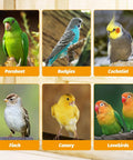 Various small birds including Parakeet, Budgies, Cockatiel, Finch, Canary, and Lovebirds in individual frames.
