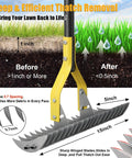 Heavy Duty Pro Grade Thatch Rake For Lawns 15 Inch Dual Action Dethatcher With Sharp Blade For Dead Grass Removal And Soil Loosening Lawn Dethatching 70 Inch Manual Thatcher For Yard Garden And Lawn showing 15-inch head with steel tines and blade.