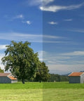 RDF72 EMF Shielding Window Film Top Notch Blocker For Home And Office, split view of trees and sky showing light transmission