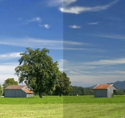 RDF72 EMF Shielding Window Film Top Notch Blocker For Home And Office, split view of trees and sky showing light transmission