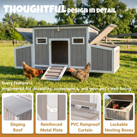 Wooden Chicken Coop For Backyard Poultry Flock With Three Weatherproof Asphalt Roofs Removable Tray Two Nesting Boxes