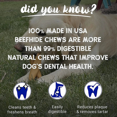 Dog enjoying Braided Beefhide Dog Chews With Peanut Butter Flavor 7 Inch Long USA Made Rawhide Chews For Medium Dogs