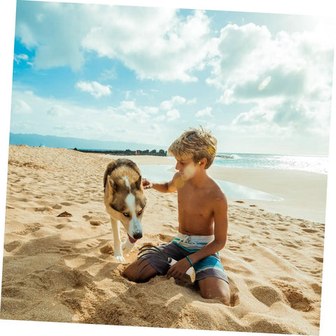 A child and a dog play on a sunny beach, capturing a moment of bonding with waves and blue skies in the background.