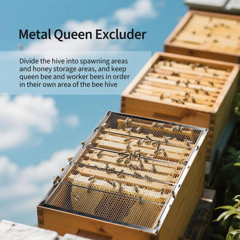 Heavy Duty Metal Queen Excluder For 10 Frame Beehives Galvanized Rustproof Beekeeping Tool in use on hive under blue sky