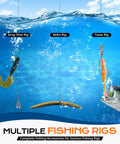 All In One 449 Piece Fishing Tackle Kit In Tackle Box With Hooks Weights Jig Heads Sinkers Ned Heads For Bass And Trout Gear Great Gift For Men And Outdoor Enthusiasts showing drop shot, neko, and Texas rigs underwater.