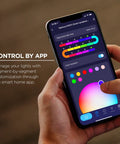Person using app to control Indoor Outdoor RGBIC Smart WiFi LED Strip With Voice Control And Music Sync, 16.4 Feet, color settings visible