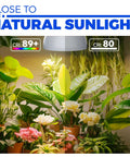 Next Level Heavy Duty Hanging Grow Light Bulbs For Indoor Plants 25W Full Spectrum illuminating vibrant green houseplants and blooms.