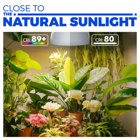 Next Level Heavy Duty Hanging Grow Light Bulbs For Indoor Plants 25W Full Spectrum illuminating vibrant green houseplants and blooms.