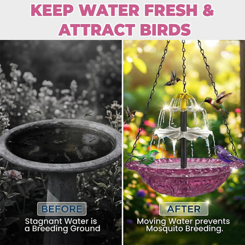 Sun Powered Bird Bath Fountain With Hanging Cascade For Outdoor Garden Decor, No Fuss Solar Operation With No Wiring, Eco Friendly Yard Water Feature That Attracts Birds, Purple, before and after comparison