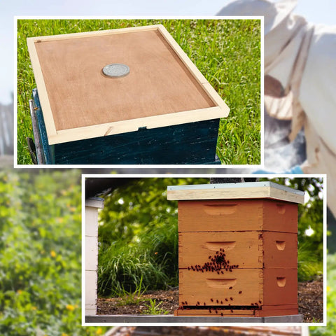 2 Pack Telescoping Beehive Cover Kit with Inner Covers and Feeding Jar Lids for 10 Frame Beehives in garden