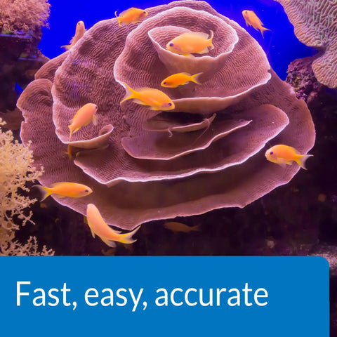 Zero Drama Saltwater Aquarium Water Test Kit Providing 550 Rock Solid Tests For Salinity Ph Ammonia And Nitrites To Catch Bad Water Instantly