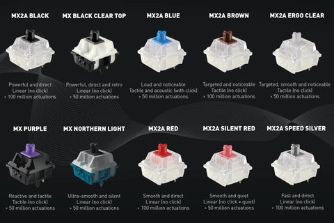 Mx2a Experience Box 10 Piece Mechanical Keyboard Switch Sample Tester For Diy Hot Swap Gaming Keyboards Explore And Test Different Variants Like Black Blue Brown Clear Top Ergo Clear Purple So You Can Find Your Vibe. 10 switch types shown