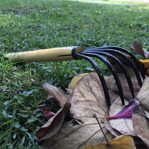 15 Inch Garden Rake With 5 Prong Steel Head And Solid Wood Handle For Gardening Beach Combing And Soil Loosening Comfortable Grip