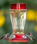 Bird Health Plus Big Gulp Hummingbird Feeder With Five Flower Shaped Ports, Glass Exterior, 40 Ounces Capacity, Ant Moat