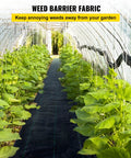 6x300 Ft Premium Weed Barrier Landscape Fabric Heavy Duty 2.4 Oz Woven Weed Control Fabric Ground Cover used in a greenhouse path.