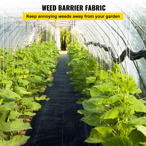 6x300 Ft Premium Weed Barrier Landscape Fabric Heavy Duty 2.4 Oz Woven Weed Control Fabric Ground Cover used in a greenhouse path.
