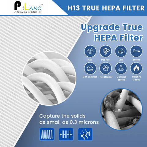 Close-up of 2-Pack True HEPA Replacement Filters with 8 Activated Carbon Pre-Filters for C545 and compatible Winix purifiers diagram.