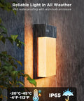 Next Level Outdoor Wall Lights Two Pack Smart RGBIC Porch Fixtures mounted on a wall under rain featuring IP65 aluminum housing.