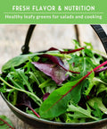 Bowl of fresh leafy greens including Viroflay spinach, arugula, Lacinato kale, Salad Bowl lettuce, and Rainbow Swiss chard.