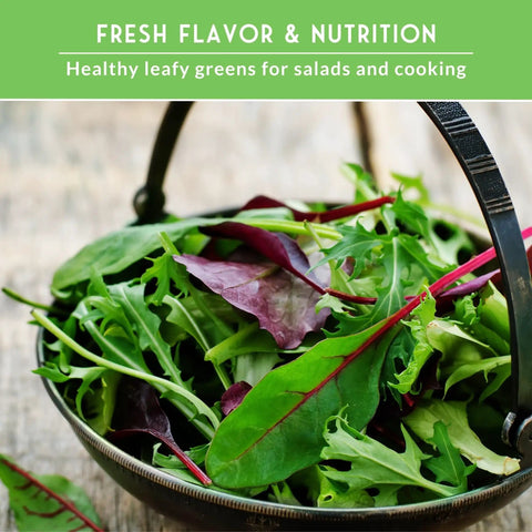 Bowl of fresh leafy greens including Viroflay spinach, arugula, Lacinato kale, Salad Bowl lettuce, and Rainbow Swiss chard.