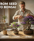 Beginner Bonsai Tree Kit With 5 Unique Japanese Bonsai Trees displayed at different growth stages on a tabletop indoors