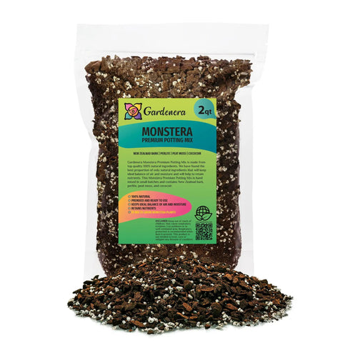monstera deliciosa soil Monstera Deliciosa Soil for Healthy Roots ✓