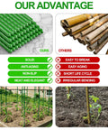 Comparison of Heavy Duty 7Ft Garden Stakes Pack Of 25 Plastic Coated Steel Plant Supports and bamboo stakes showing advantages like solidity and anti-aging.