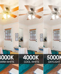 Comparison of room lighting at 3000K warm white, 4000K cool white, 5000K daylight using LED bulbs in a ceiling fan.