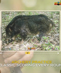 Wild Boar Archery Target For Real Life Shoot Practice And Hunt Mode Training Photorealistic Life Size 28 By 40 Plastic Target