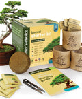 All In One Bonsai Growing Kit For Beginners With Seeds Norway Spruce Royal Poinciana Blue Jacaranda And Rocky Mountain Pine Burlap Pots