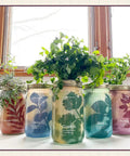 Dope Mason Garden Jar Self Watering Hydroponics Kit With Organic Herb Seeds For Indoor Parsley Garden Jar Planter Seed Starter And Home Decor Gift Idea with herbs.