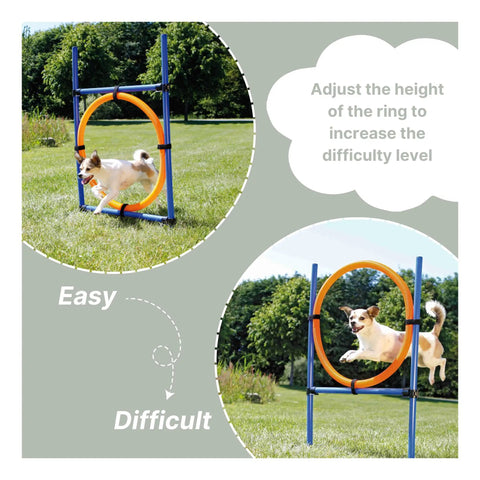 Dog Agility Ring Jump 22 Inch Diameter For Training And Fun At Home Portable Pro Grade Gear With Easy Setup shown with dog jumping