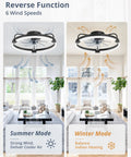 Ceiling Fan With Lights And Remote And App Control 20 Inch Low Profile Flush Mount Fandelier in summer and winter mode