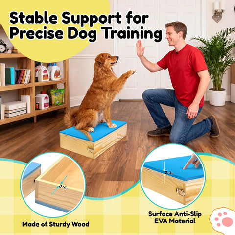 Dog on Two Piece Connectable Wooden Dog Training Platform Set With Non Slip Foaming Surface For Small To Medium Dogs Easy Latch Together Puppy Agility Boards For Home Gym And Fun Training Sessions.