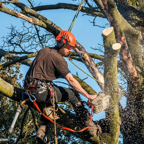 Tree Climbing Gear Set With Adjustable Belt And Steel Core Flip Line Pro Grade Foot And Ankle Straps Gloves Replacement Screws