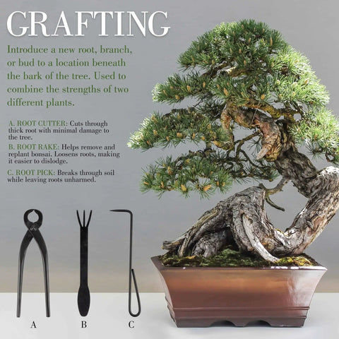 15 Piece Bonsai Master Tools Set With Case Including Heavy Duty Shears Concave Cutter Knob Cutter Wire Cutter Leaf Trimmer Root Rake Branch Benders Jin Pliers Root Cutter Trunk Splitter Moss Brush And More For Beginner Friendly Bonsai Care