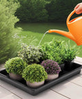 Watering plants in Six Pack Seedling Trays Without Drain Holes For Easy Watering In Indoor Greenhouse Germination Plastic Nursery Potting Trays