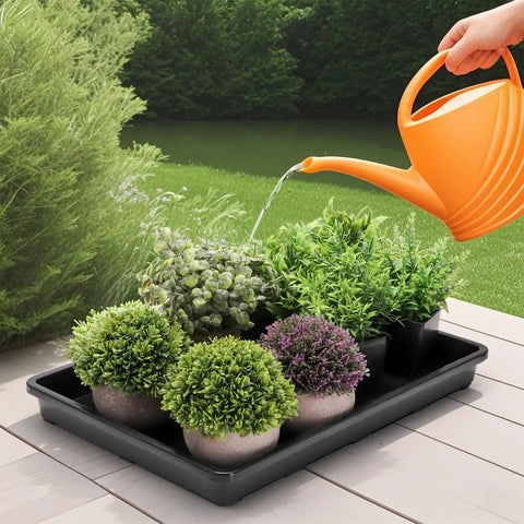 Watering plants in Six Pack Seedling Trays Without Drain Holes For Easy Watering In Indoor Greenhouse Germination Plastic Nursery Potting Trays