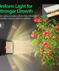 Lumaray Four Bar LED Grow Light Bars 16 Inch Full Spectrum Side Lighting With Red Enhancement in use on tomato plant