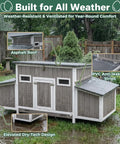 Ultimate 62 Inch Chicken Coop For 2 To 4 Chickens With Four Nesting Boxes Roosting Bars Openable Waterproof Roof Lockable Doors And Pull Out Tray Weatherproof Outdoor Fir Wood Hen House With Lockable Ladder Door Ramp Security showcased in wet environment with asphalt roof and anti-leakage strips visible.