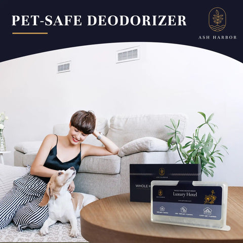 Luxury Hotel Scent Whole Home Air Freshener System on table, woman with dog, living room with HVAC duct, Ash Harbor branding