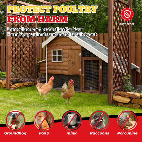 Heavy Duty Hardware Cloth With One Half Inch Square Openings, 48 Inch By 100 Foot Roll, 19 Gauge, Chicken Wire Mesh Fence around poultry coop.