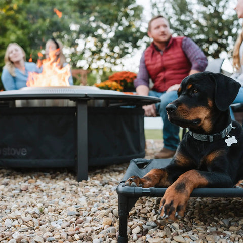 42 Inch Fire Pit Surround Tabletop Shield For Wood Burning Pits with family and dog relaxing nearby, powder coated steel frame