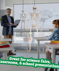 Classroom with teacher, students, and Posable Life Size Skeleton Family Four Piece Set Two Adults At 5ft 4in And Two Kids At 2ft
