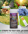 2-In-1 Soil pH And Nitrogen Tester Kit With Measuring Cylinder, 100 Test Strips for garden use shown with healthy plants.