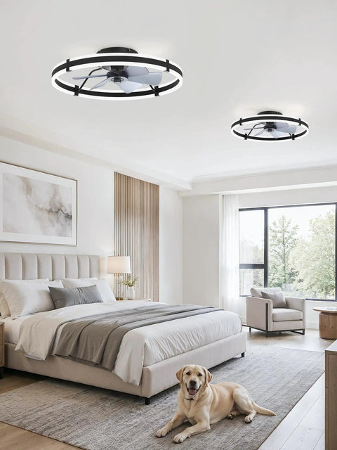 ZMISHIBO 2 Pack 24 Inch Ceiling Fans with Lights and Remote, Black installed in modern bedroom with light and dog