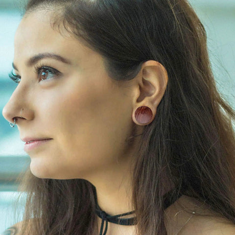 Person wearing Organic Wood Ear Gauges Set, 6 Pieces, Double Flared Saddle Plugs Stretcher for Punk Piercing, Brown and Black Teak Finish