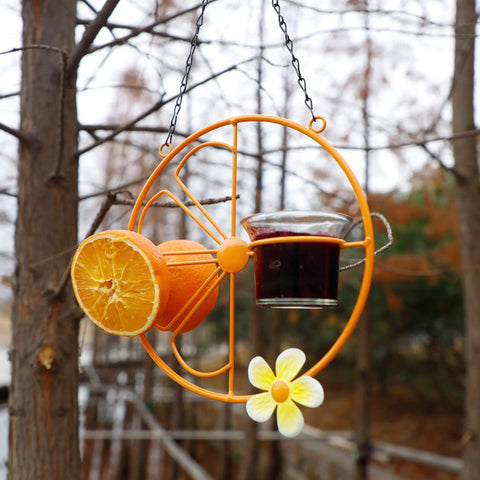 Oriole Bird Feeder For Outdoors Jelly And Oranges, Orange Fruit Feeder With Glass And Metal Build hanging in a garden setting