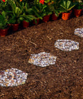 River Rock Stepping Stones Set Of 6 Hexagon Outdoor Garden Path Pavers Polished Pebbles in a garden pathway